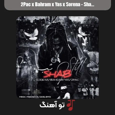 توپاک و بهرام و یاس و سورنا شب