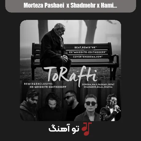 مرتضی پاشایی و شادمهر عقیلی و حمید صفت و سورنا و شایع و بیبال و ناجی تو رفتی