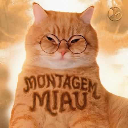 آهنگ Montagem Miau از Lenar