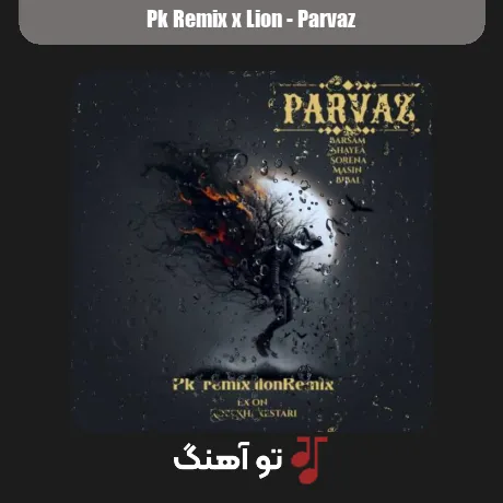 برسام و شایع و علی سورنا و مسین و بی بال پرواز