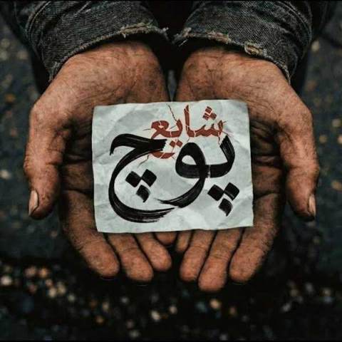 شایع پوچ 