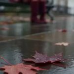 دانلود آهنگ ای مهربونم اومدی شدی جونم ریمیکس ترند اینستا