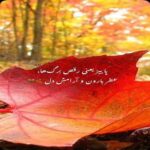 دانلود آهنگ پاییزه پاییزه تک برگ خزون تو دشت جنون ریمیکس ترند اینستا
